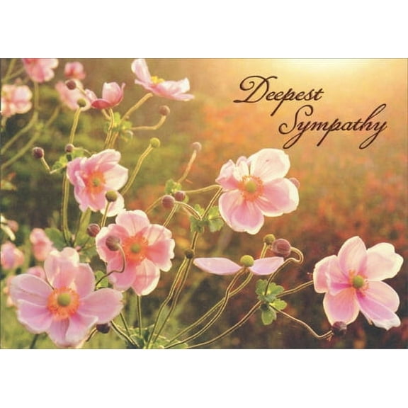 Avanti Press Japanese Wildflower Pink Anem Premium Sympathy Card