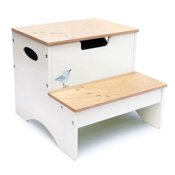 Tender Leaf Toys - Forest Steps - Lightweight and Portable Step Stool with Storage Space - Great for Home, Kitchen, Bathroom Age 3 