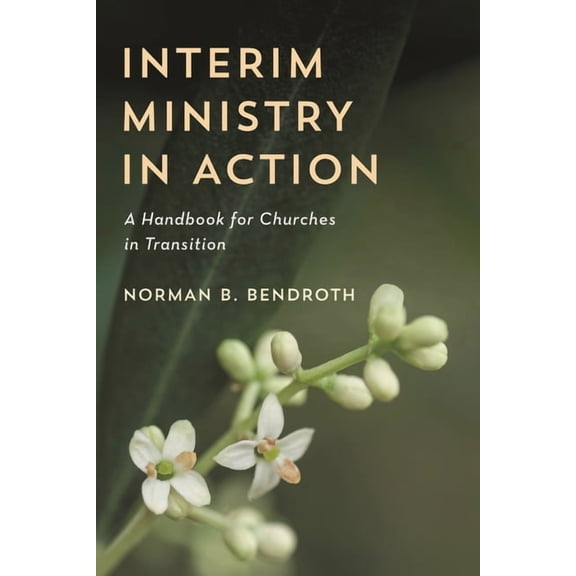 Interim Ministry in Action: A Handbook for Churches in Transition, (Paperback)
