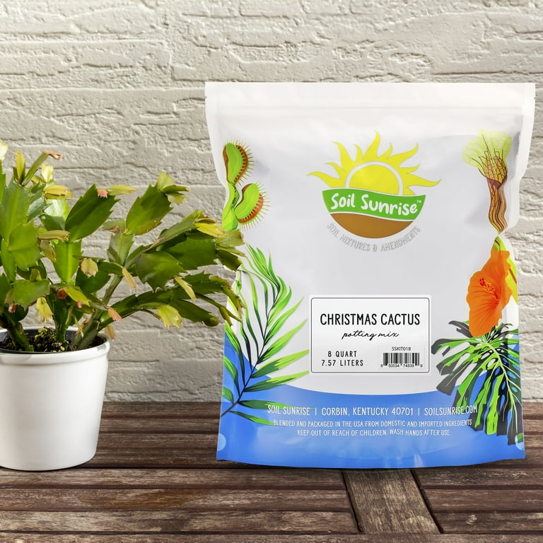 Christmas Cactus Potting Soil Mix 8 Quarts Hand Blended Soil for Indoor Houseplants Custom Blended
