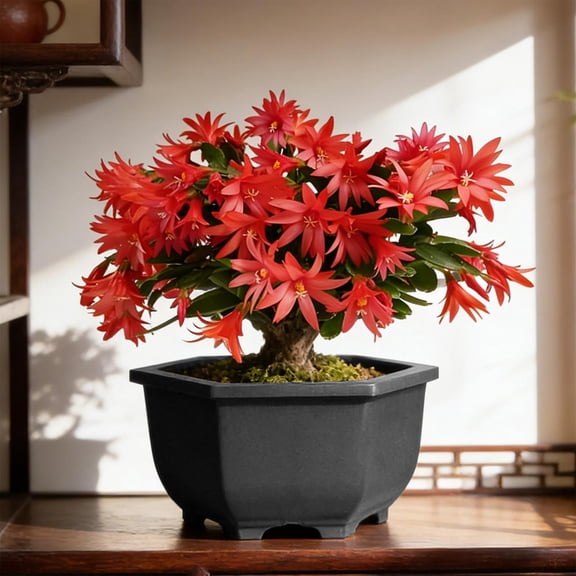 COM1950s Plastic Hexagon Planter Pot with Drainage, Modern Flower Pots for Indoor Plants, Lightweight Planters for Balcony and Home Office Decor