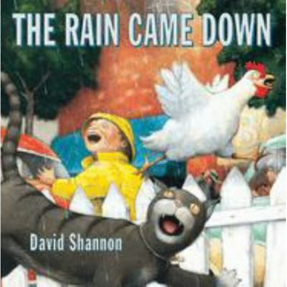 Pre-Owned The Rain Came Down (Paperback) 0439051533 9780439051538