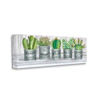 Stupell Industries Succulent and Cactus Jars with Plant Life Puns Canvas Wall Art Design by Cindy Jacobs, 20" x 48"