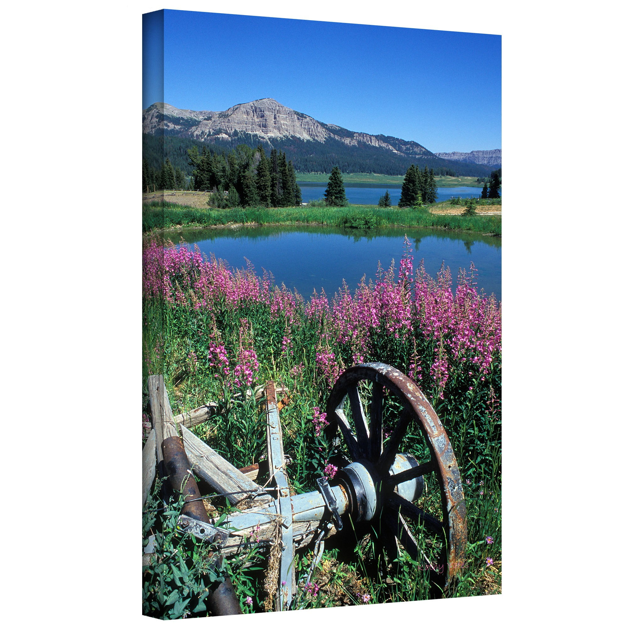 ArtWall Kathy Yates "Old Wheel and Brooks Lake" Gallery-wrapped Canvas