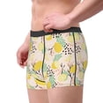 thumbnail image 2 of Pofeuu Lemon Leaves Print Men’s Boxer Briefs, Moisture-Wicking Underwear, Regular,Trunk-XX-Large, 2 of 5