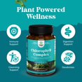 thumbnail image 4 of Cápsulas de clorofila Natures Craft Cleanse, desintoxicantes, 120 unidades, 4 of 8