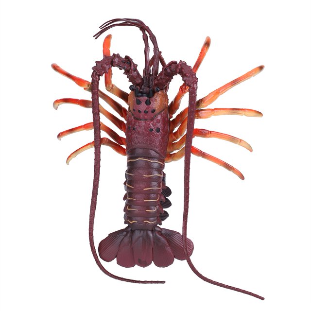 Simulation Lobster, With Exquisite Craftsmanship And Soft Plastic Lobster, Non- And For Home Teaching Aids Kids Toy Stage Performance Prop