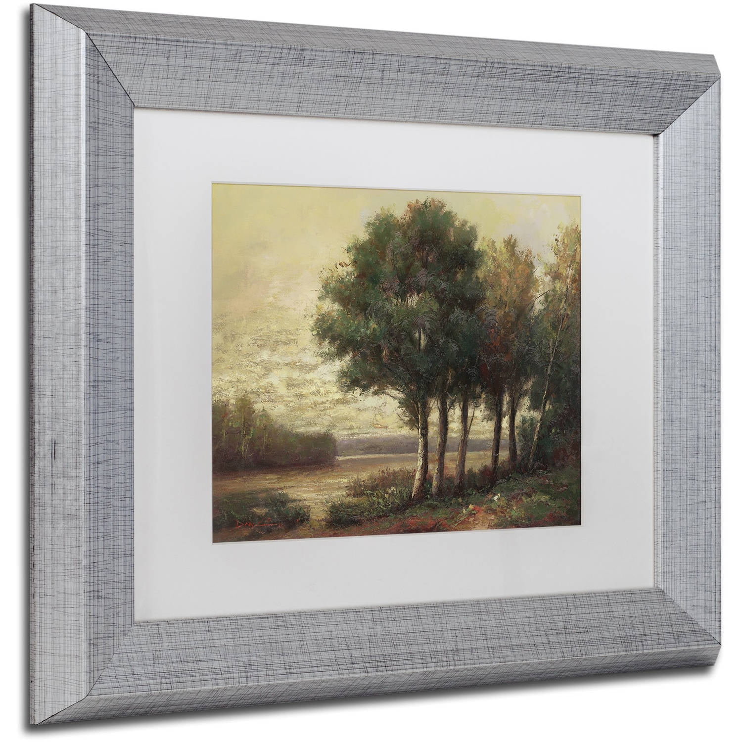 Trademark Fine Art "Tranquility" Canvas Art by Daniel Moises, White Matte, Silver Frame