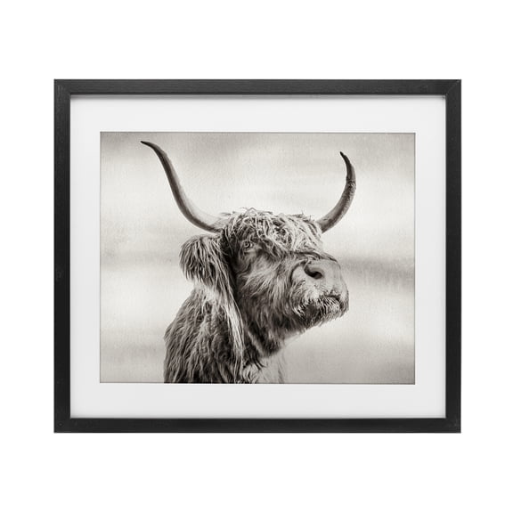 Stupell Industries Horned Highland Cow Gazing Black Framed Print Under Glass, design by Julia Frost