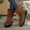 Brown, variant on POROPL Womens Boots Mid Calf Mid Heel Comfortable Casual Shoes,Boots for Saving Size 4.5