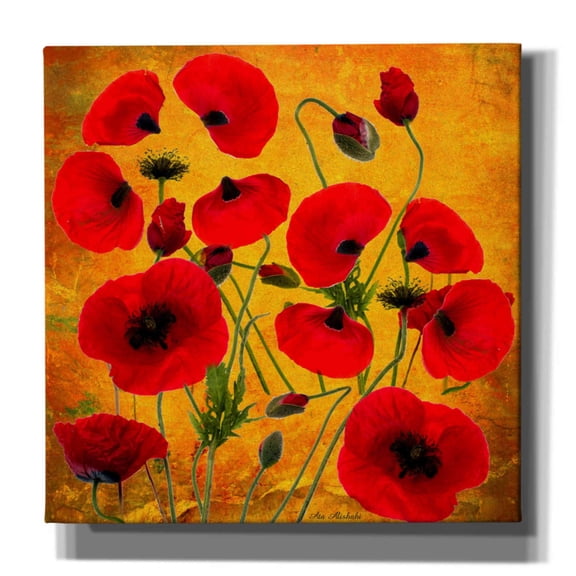 Epic Graffiti 'Poppy Flowers 2' by Ata Alishahi, Giclee Canvas Wall Art, 37"x37"