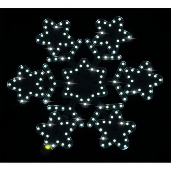 Queens of Christmas LED-SNSTR13-PW 13 in. LED Star Hexagon Snowflake, Pure White
