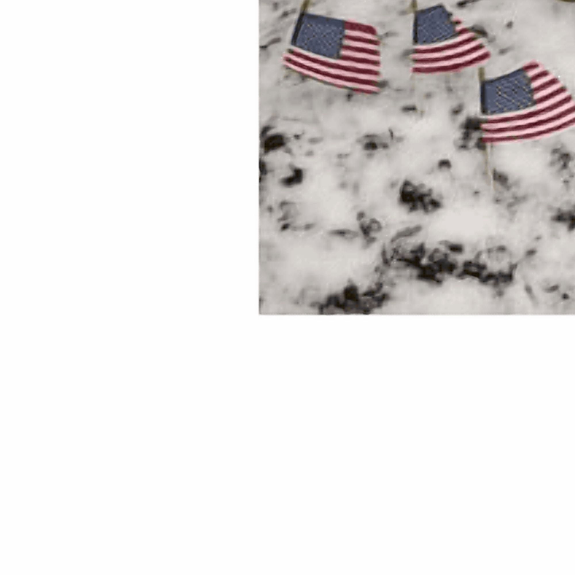 (2 pack) 4x6in Polycotton Betsy Flags US Stick Flags 4-pack