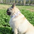 thumbnail image 2 of PRIYAL Metal Buckle Dog Collar, Durable Adjustable Dog Collar Soft for Small Medium Large Dogs (S(10-14in), Flower3), 2 of 13