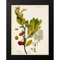 thumbnail image 2 of Unknown 15x18 Black Modern Framed Museum Art Print Titled - Antique Greenery VI, 2 of 5