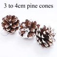 thumbnail image 3 of Happon Christmas Pine Cone Ornaments, 18 Pcs Pine Cone, Christmas Tree Snowflake Pine Cones Party Hanging Decoration, 3 of 6