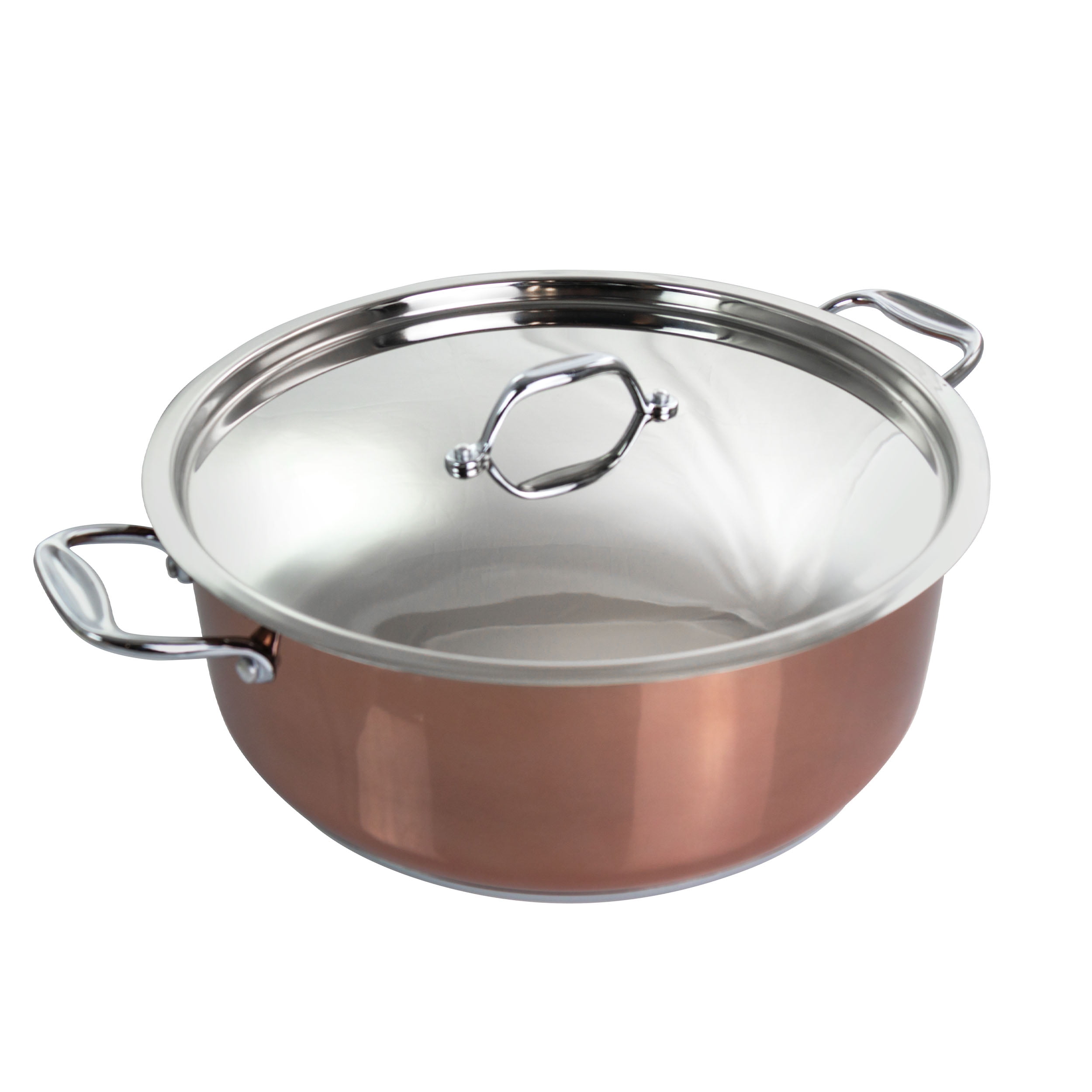 Better Chef 12 Quart Stainless Steel Shallow Pot with Lid and Handles