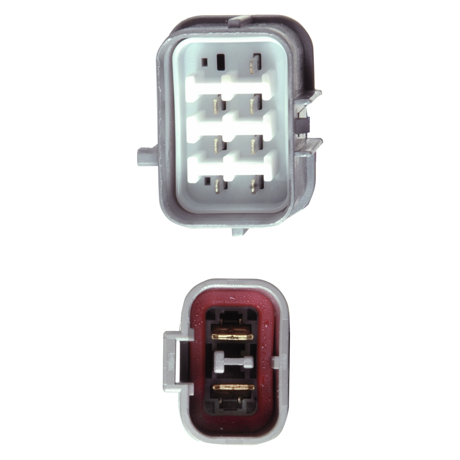NEW Distributor Fits Honda Civic Del Sol 1.6L 1590Cc 1993-1995 30100-P08-006 2-YEAR WARRANTY