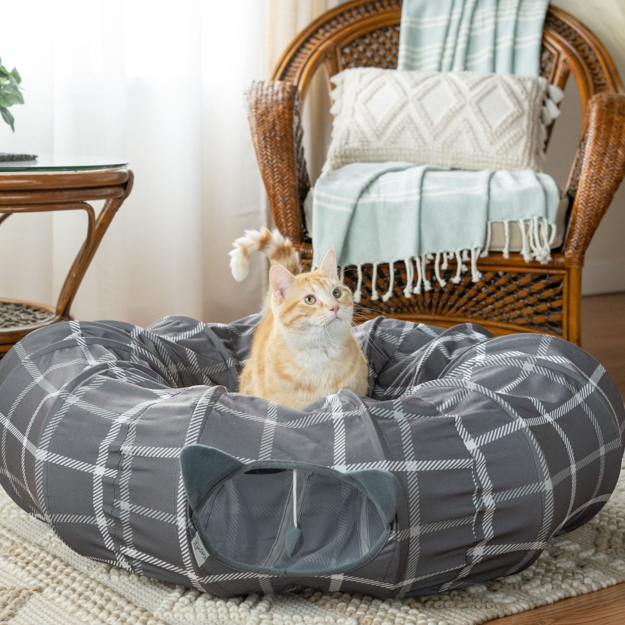 Kitty City, Cat Bed Tunnel, Gray, O/S
