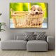thumbnail image 2 of Cuadro Canvas Pixtreats Listo para Colgar Tipo Galería Cachorro en Canasta 60X90 cm, 2 of 4