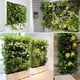 thumbnail image 4 of COSMOBETTY Bolsa De Plantas Para Colgar En Pared Con Tela Fieltrada Y Drenaje Eficiente, 4 of 6