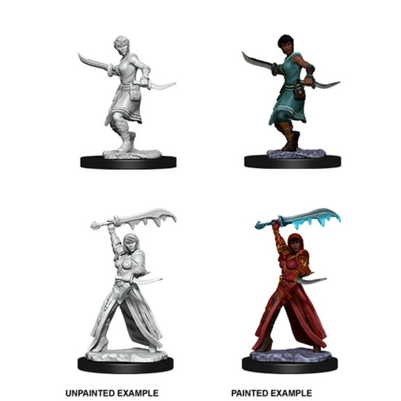 Nolzur s Marvelous Miniatures Wizkids D D Human Female Rogue WZK73831