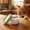 75#Green, variant on Silicone Pet Food Storage Container 8.2cm, Microwave and Freezer Safe Sealed Lid for Cat Wet Food, Airtight Mini Food Container for Fridge Storage, Reusable Food Grade Container for Pets