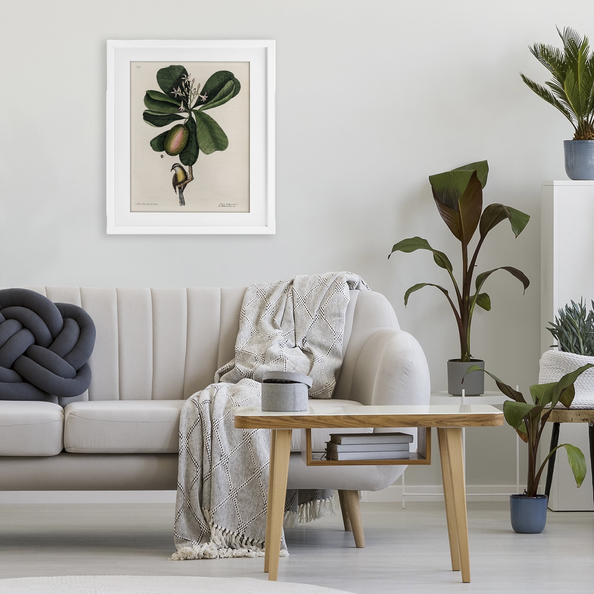 Stupell Industries Catesby Flora & Fauna White Framed Print Under Glass, design by Print Collection