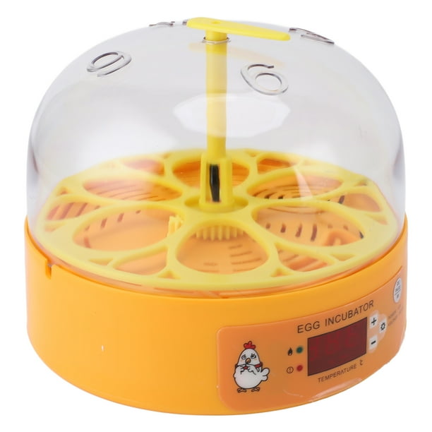 Incubadora De 6 Huevos Con Control Automático De Temperatura De Volteador De Huevos Y Diseño Portátil Para Incubar Huevos De Pato, Codorniz Y Pollo