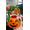 Multicolor, variant on Joyfy 8 Pcs Halloween Basket with Stuffed Plush,Halloween Gift Basket Stuffers for Baby Kids Toddler,Halloween Toys,Halloween Pumpkin Decorations