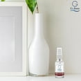 thumbnail image 6 of G's Breeze Red Apple Cinnamon Air Spray – Warm blend of ripe apples & spicy cinnamon for a cozy, long-lasting scent in any space., 6 of 9
