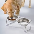 thumbnail image 2 of Koiauber Stainless Steel Elevated Cat Bowl Tilted Raised Cat Bowl with Metal Stand Pet Feeding Dish to Prevent Fatigue for Indoor Cat And Dog, 2 of 8