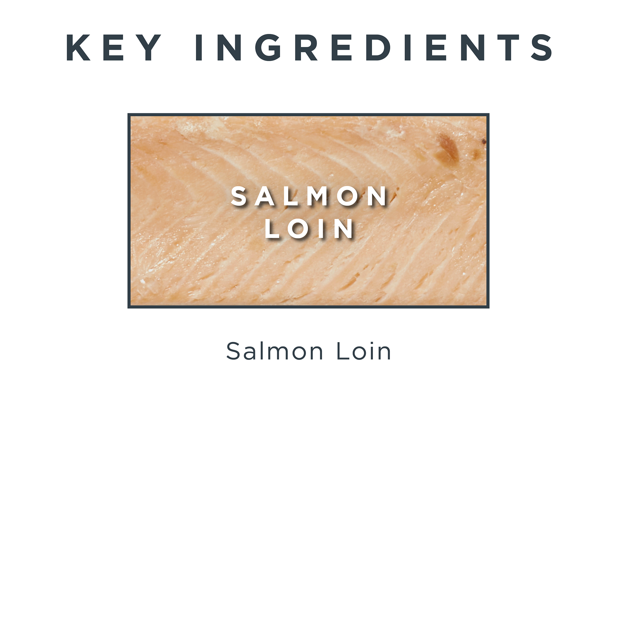 Reveal Whole Salmon Loin Natural Grain Free Wet Cat Treats, 12 Ct 1.06 oz Pouches
