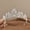 Sliver, variant on Yoyauz Women's Gold Crown Crystal Princess Tiara Crystal Queen's Crown Wedding, Bridal Hair Ornament Birthday Prom, Beauty Pageant Party  Barmitzvah Rite of Passage, Photo Props