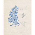 thumbnail image 3 of Vision Studio 20x24 Black Modern Framed Museum Art Print Titled - Blue Marine Algae VI, 3 of 5