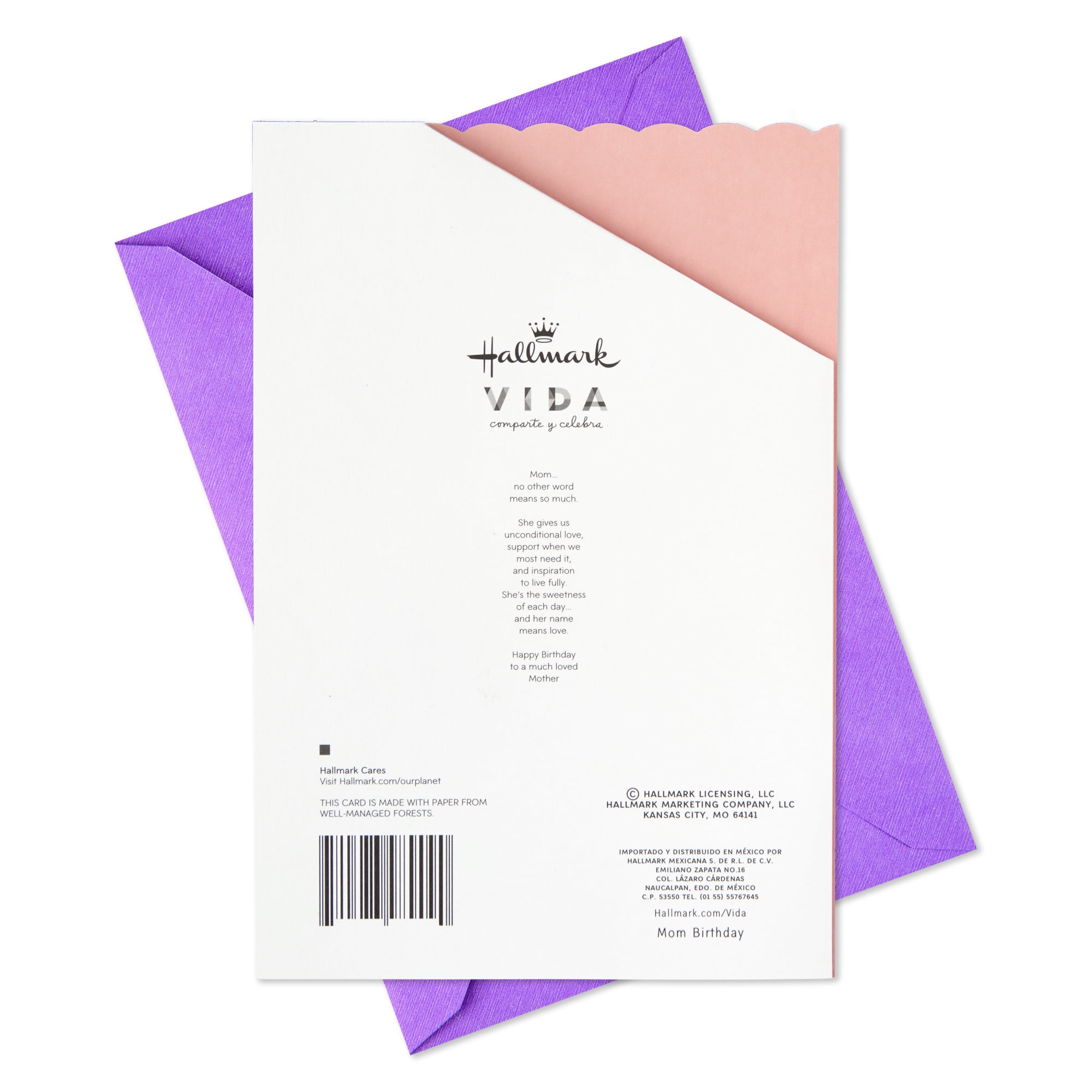 Hallmark VIDA Spanish-Language Birthday Card for Mom (No Other Word Means so Much), 1 count