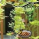 thumbnail image 1 of Alimentador de aves colgantes cadena ajustable decorativa práctica de alimentos de malla de metal de agua para el jardín para el balcón de, 1 of 10