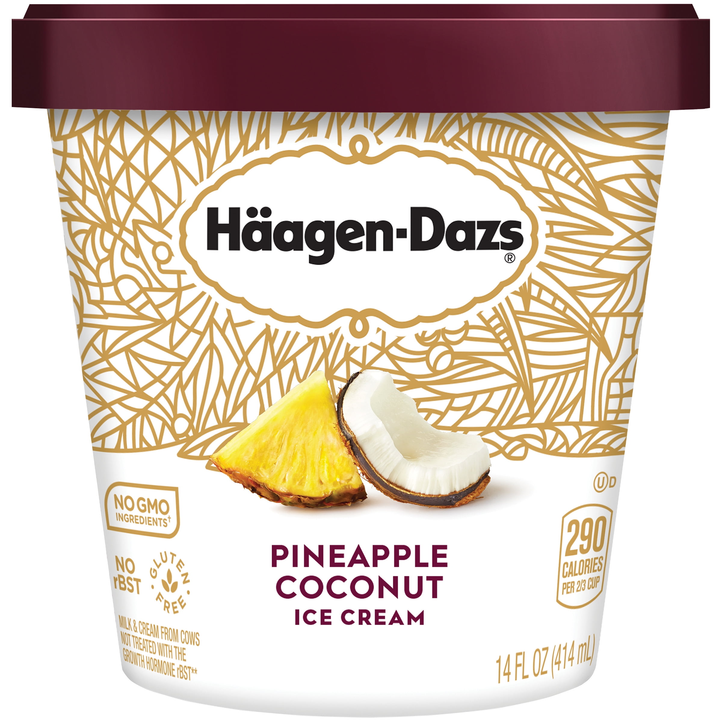 Indulge In Tropical Paradise: Refreshing Haagen-Dazs Coconut Ice Cream