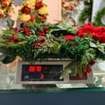 thumbnail image 6 of 18 Inch Christmas Wreaths for Front Door with Red Velvet Bow adn Berry, Artificial Norfolk Pine Greenery Christmas Wreath Decorations for Wall Window Home Indoor Outdoor Winter Holiday, 6 of 9