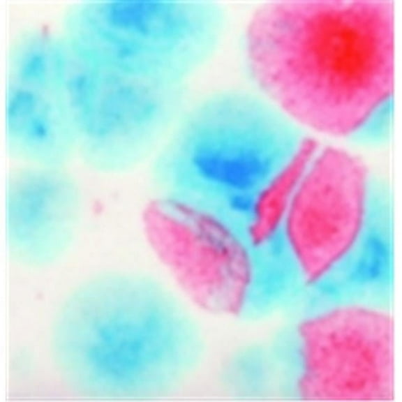 Sax True Flow  Non-Toxic Crystal Magic Glaze - 1 Pt. - Kaboom