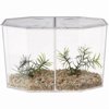 BETTA HEX, DUAL