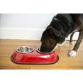 thumbnail image 2 of 2-Pack Color Splash Stainless Steel Double Diner (Red) For Dog/Cat, 1 Pt, 16 Oz, 2 Cup, 2 of 8