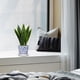 thumbnail image 5 of Planta de Serpiente Artificial Briful con Maceta Azul y Blanca, 5 of 6