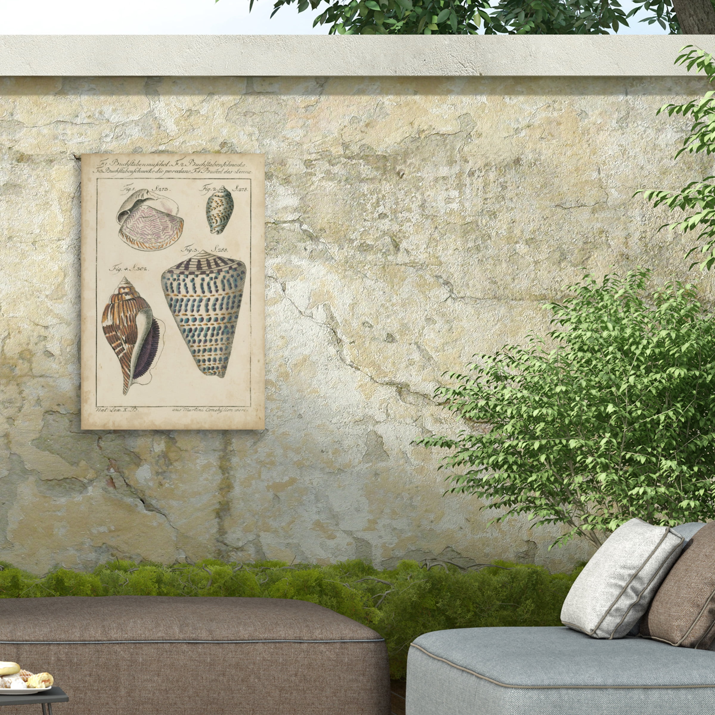 Martini 'Vintage Shell Study II' Outdoor Canvas 24x18