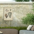 thumbnail image 4 of Martini 'Vintage Shell Study II' Outdoor Canvas 19x14, 4 of 5
