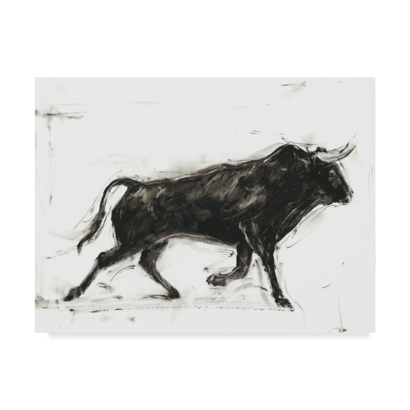 Trademark Fine Art 'Toro II' Canvas Art by Ethan Harper