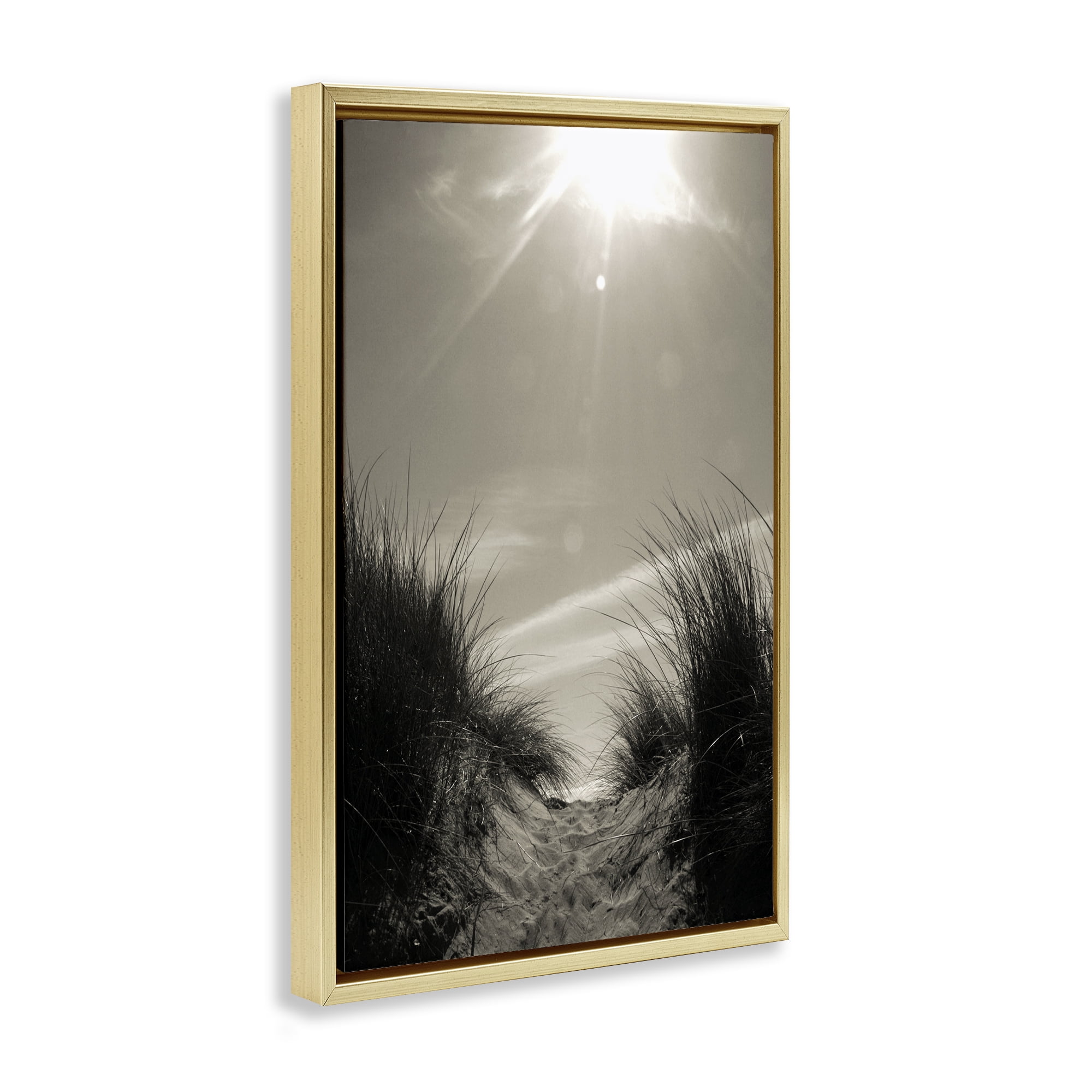 Stupell Industries Dune Valley Landscape Coastal Photography Gold Floater Framed Canvas Art Print Wall Art, 17 x 25