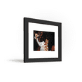 thumbnail image 3 of Gallery Pops Elvis Presley - Hang Loose Hawaii Photo Wall Art, Black Framed Version, 12" x 12", 3 of 5