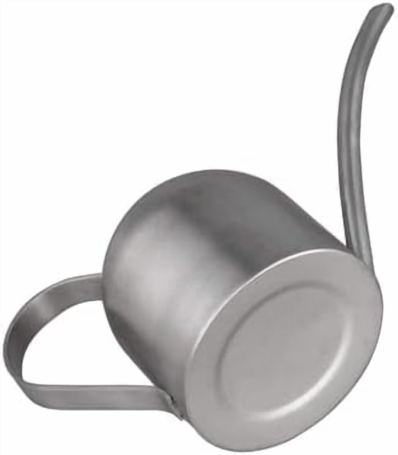 Indoor Watering Can for House Plants Stainless Steel Watering Can Metal with Long Spout (33oz/1L)