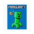 thumbnail image 3 of MINECRAFT SET PIJAMA MANGA CORTA, 3 of 3